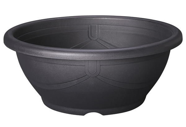 スドー メダカ鉢 黒茶 15号 | 熱帯魚・水槽・飼育セットの通販なら