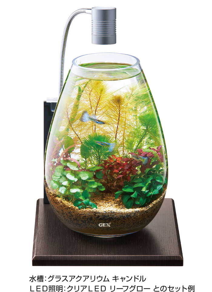 GEX グラスベース エボニー200 ライトスタンド付 小型水槽台