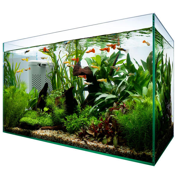 アクアリウム引退セット ガラス水槽と外部フィルターとライト