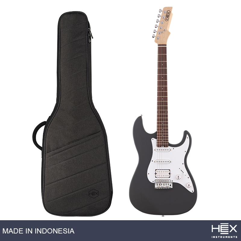 ギター HEX E100 GRAY Hex E100 S/SG Slate Gray Stratocaster