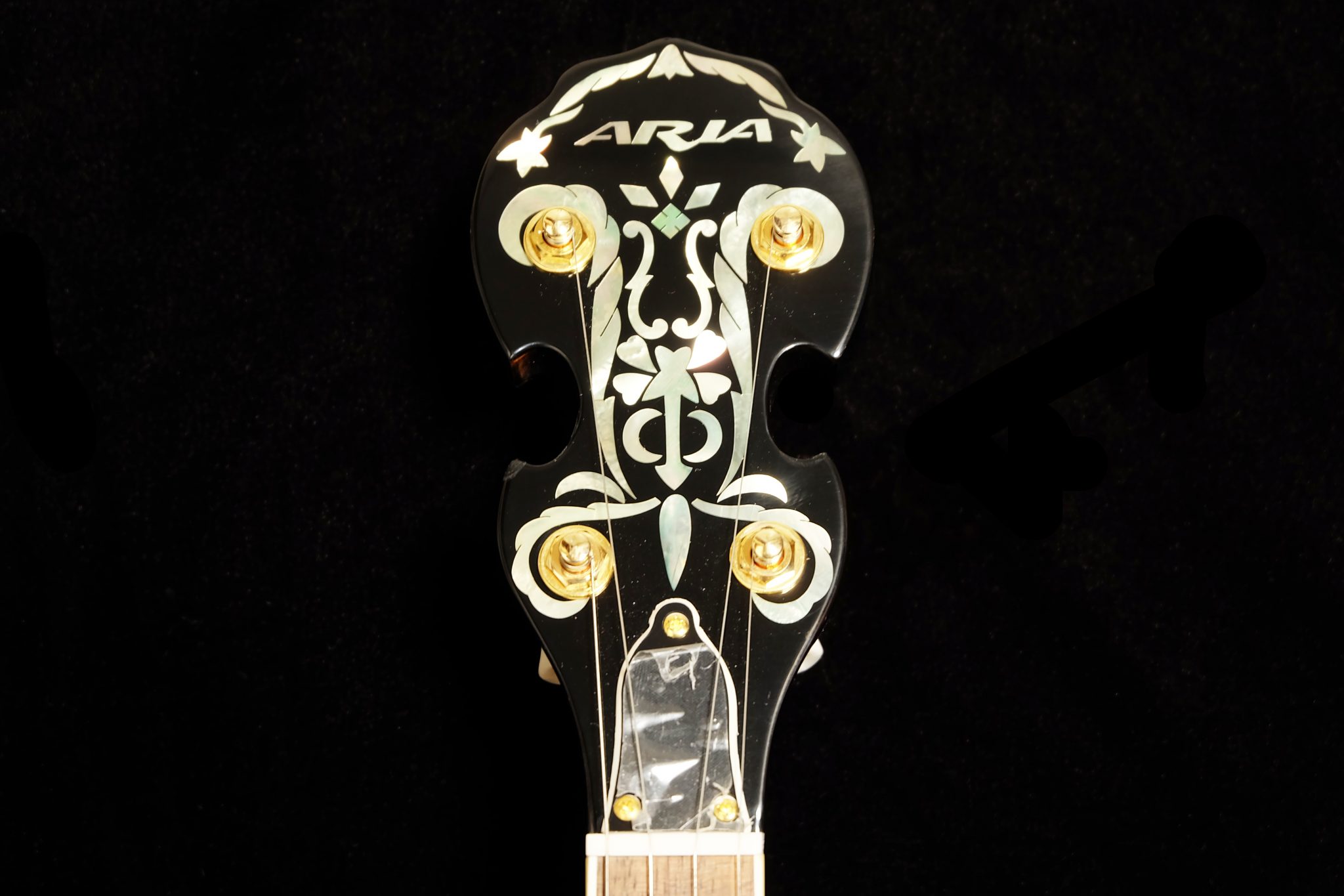 Aria アリア SB-600 5弦 デラックスバンジョーBANJO