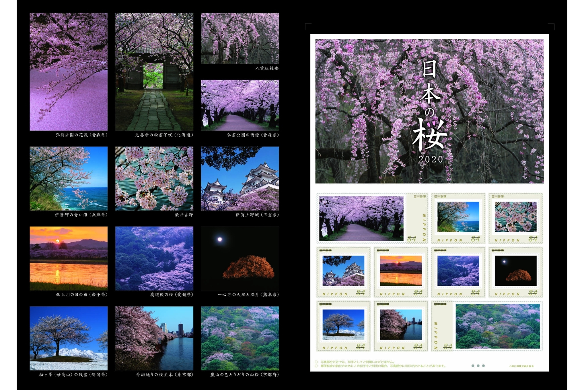 日本郵便、日本各地の桜を題材にしたフレーム切手「日本の桜 2020