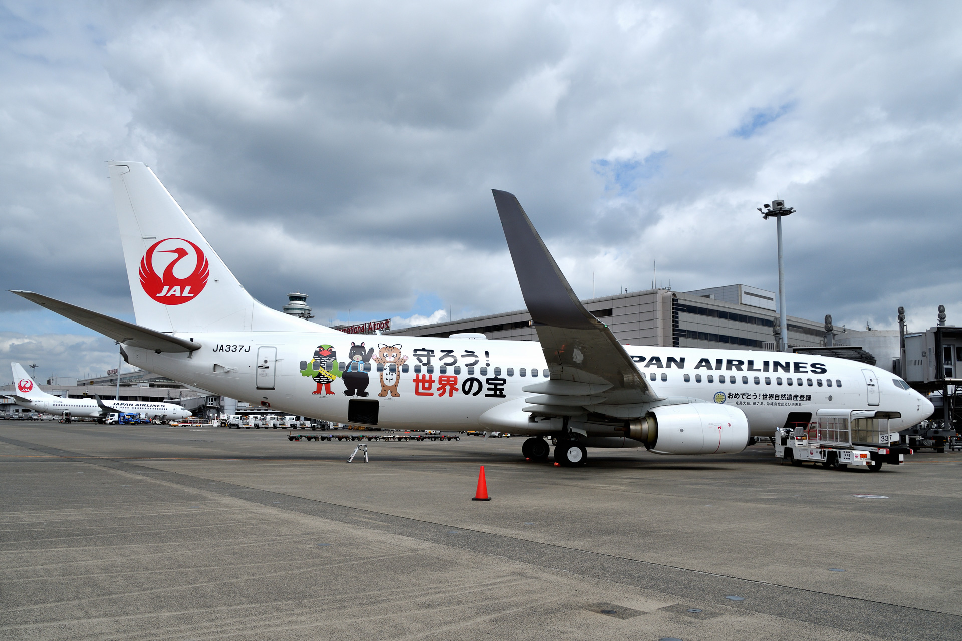 1/200 日本トランスオーシャン航空 「奄美・沖縄 世界自然遺産」特別