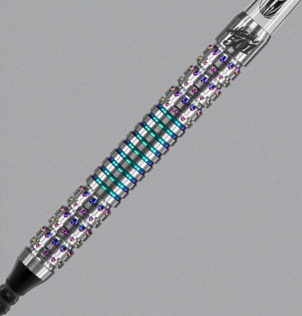 ウェイン・マーデル TARGET Hawaii 501 WAYNE MARDLE Target Darts