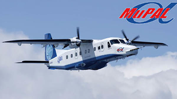 ミシェル・アロチェフ 【青い飛行機】 木製 ミシェル・アロチェフ