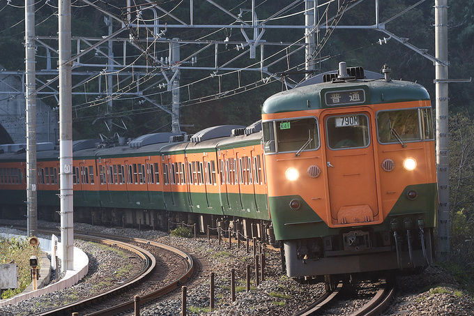 113系 東海道本線（東日本） | 路面電車と鉄道の写真館