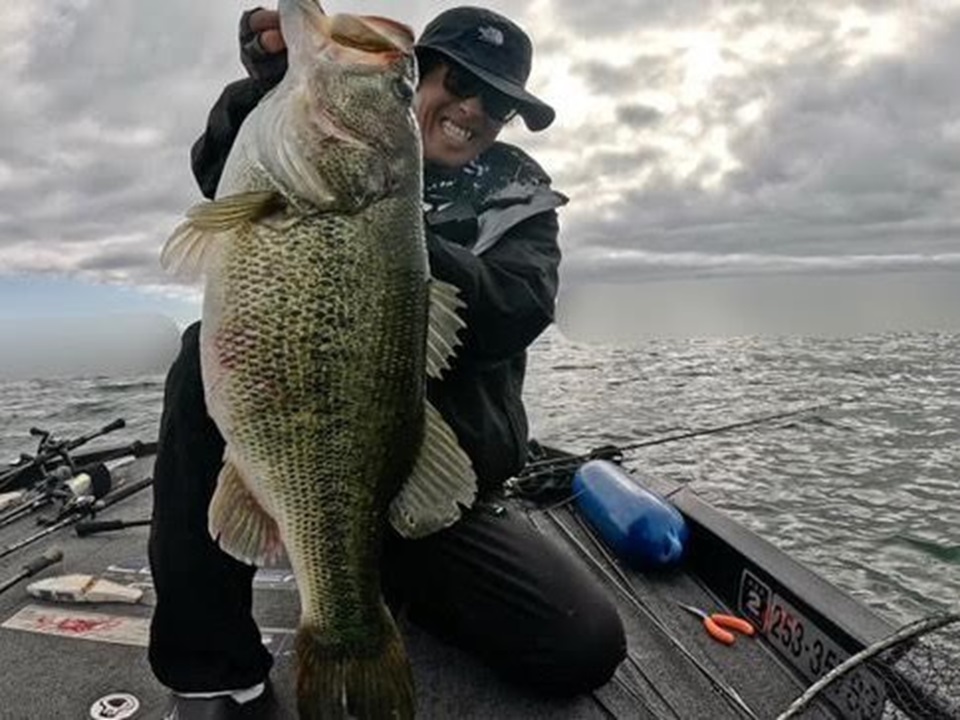 フランティシェク·レタック ライラック真作油彩40号最終値下げ640万