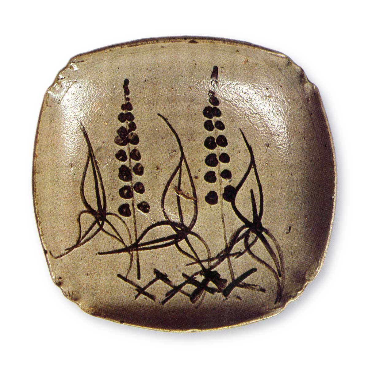 絵唐津 藤文 四方 皿 | 鶴田 純久の章 お話