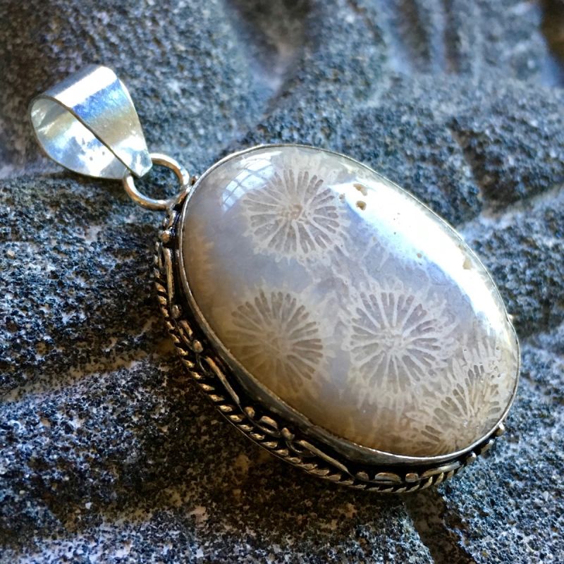 1点物 フォシルコーラル珊瑚化石ペンダントトップ ｜ フォッシル