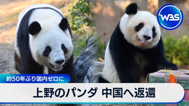 上野のパンダ 中国へ返還 約50年ぶり国内ゼロに｜テレ東BIZ