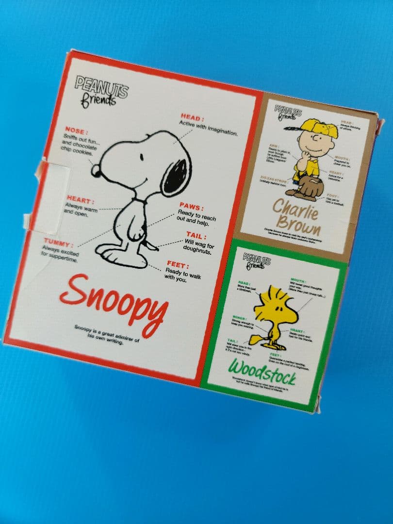 SONY WALKMAN NW-S313K SNOOPY Style