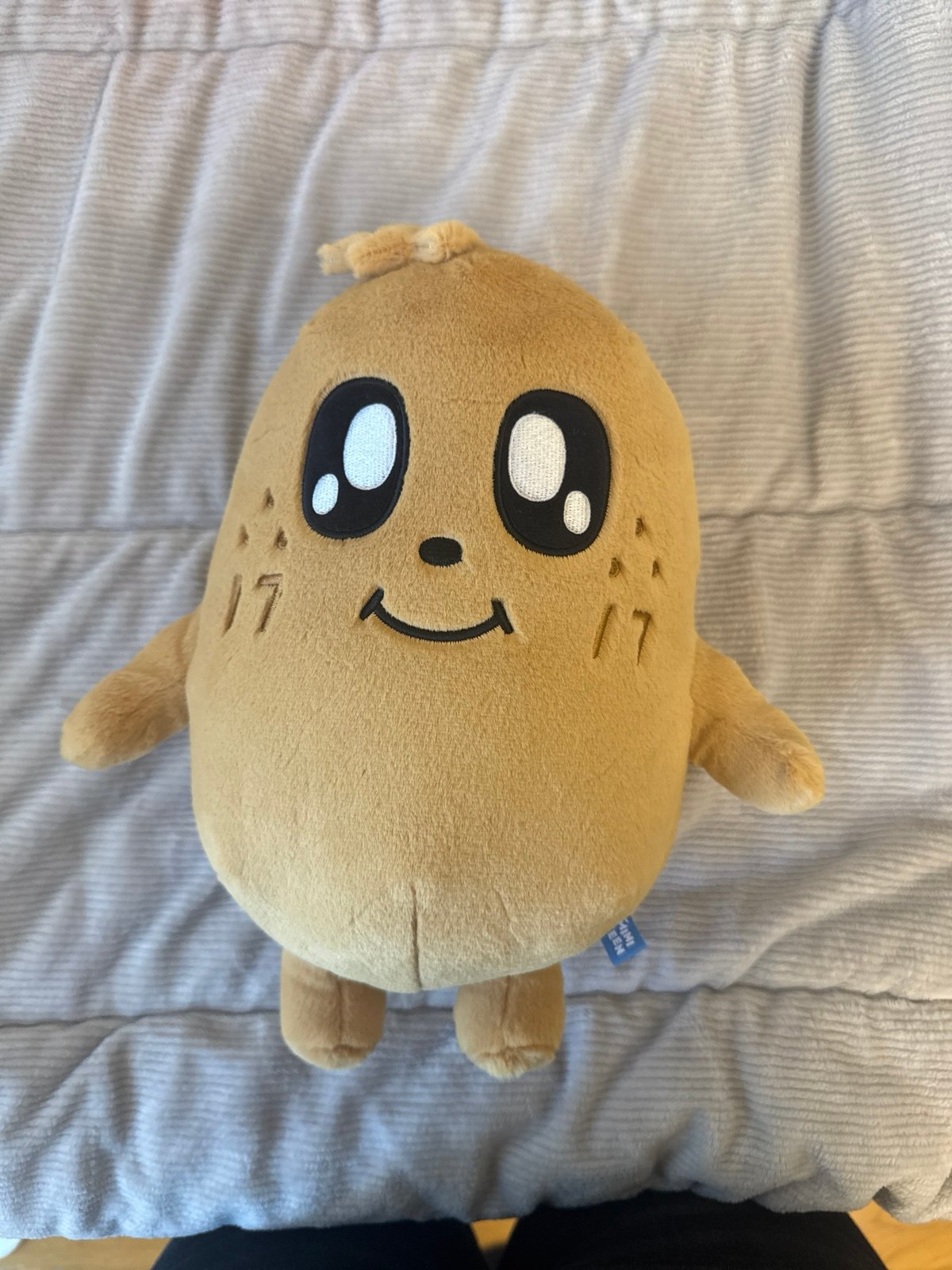 m69625974035_1.jpg?1765225588&