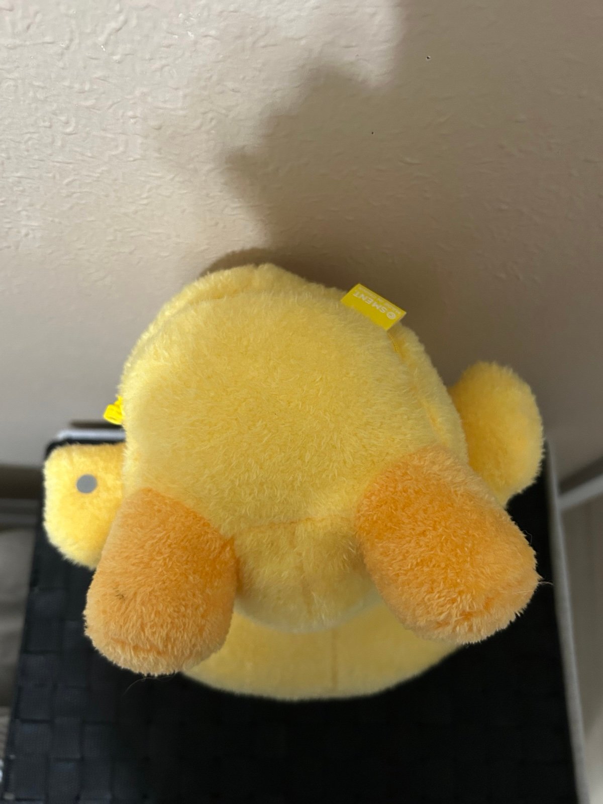 SHINee Taemin テミン taemari テマリ 40cm doll SHINee テミン 40cm