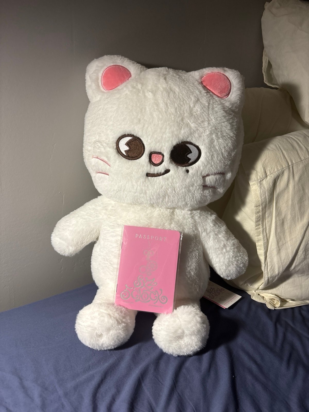 テディベア ぬいぐるみ teddybear SKZOOジニレットJiniret Stray Kids