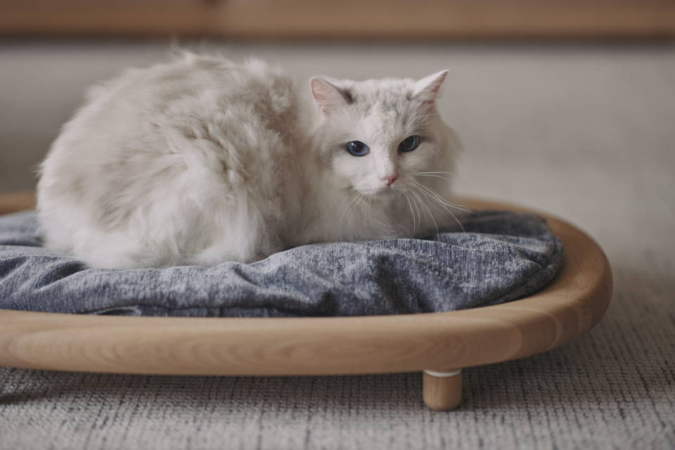 KARIMOKU CAT BED