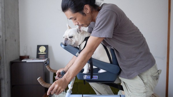 ペット乗せ自転車になる『バディーライダー』なにがスゴいのか口コミし