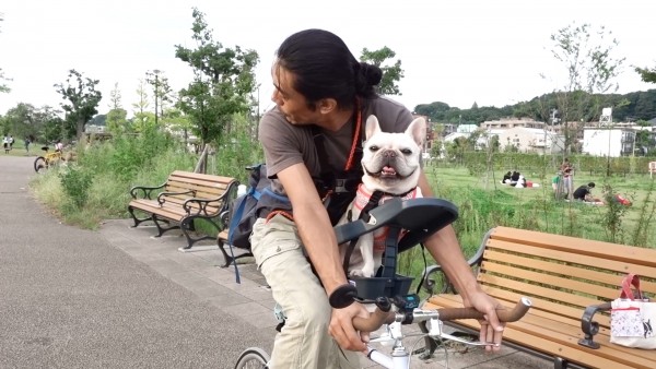 ペット乗せ自転車になる『バディーライダー』なにがスゴいのか口コミし
