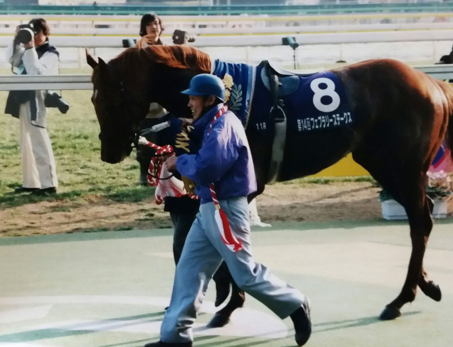 シンコウウインディ 第14回 フェブラリーステークス 6人気 1着