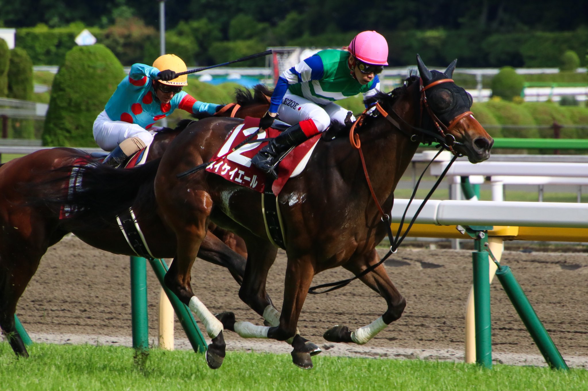 競馬 レシステンシア 2022年香港スプリント実使用ゼッケン 競馬