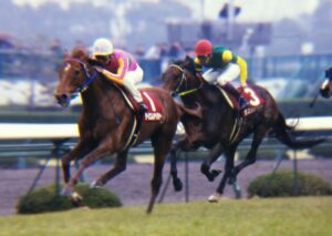 大衆も立ち向かいたくなる風格の予感。 - 2000年阪神大賞典・テイエム