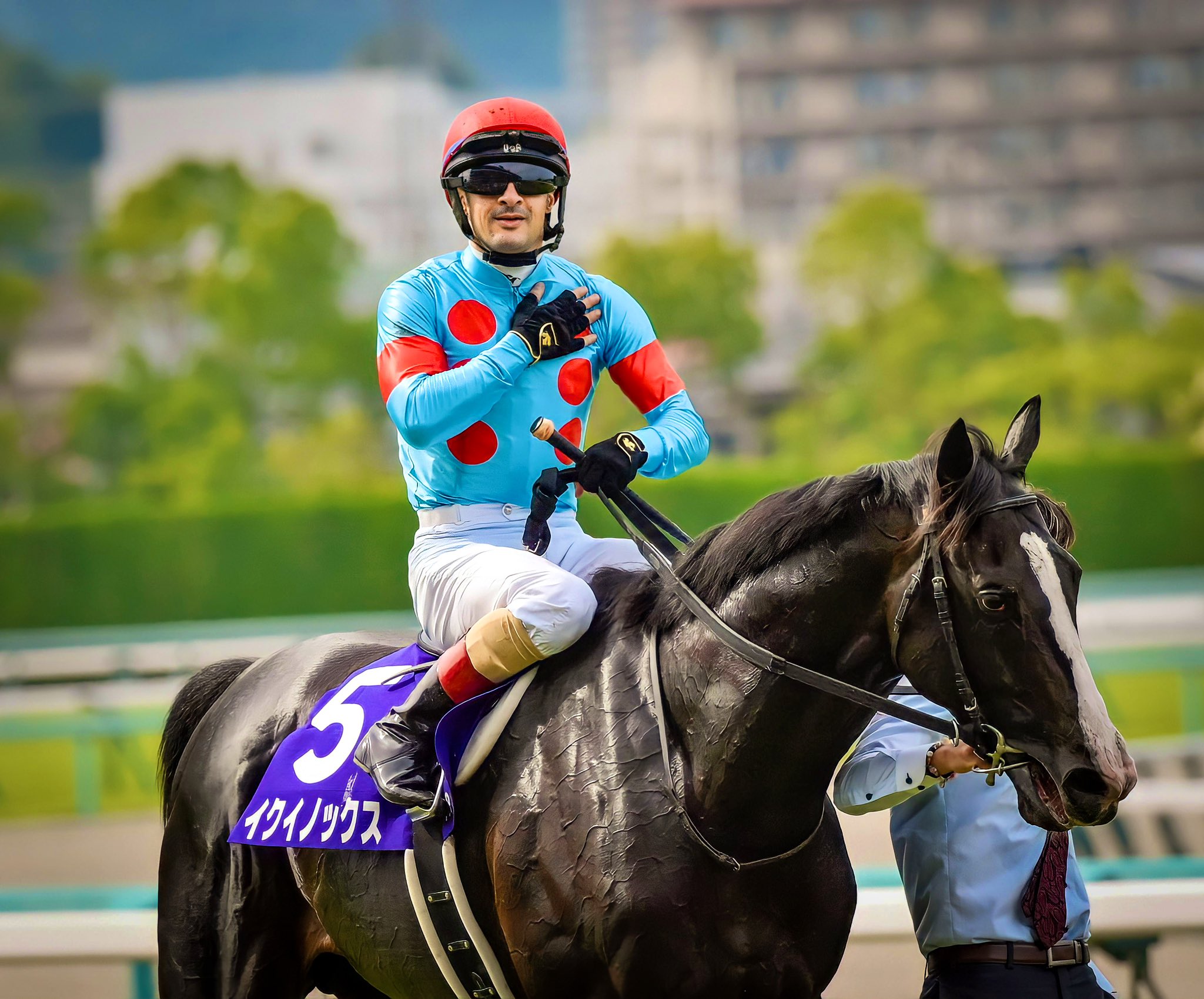 まねき馬倶楽部 年度代表馬・世界一sp 2508イクイノックス まねき馬