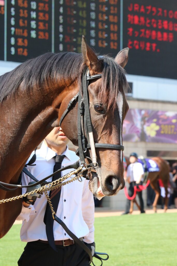 クラシックではキタサンブラック、ドゥラメンテらと対峙。香港で初の