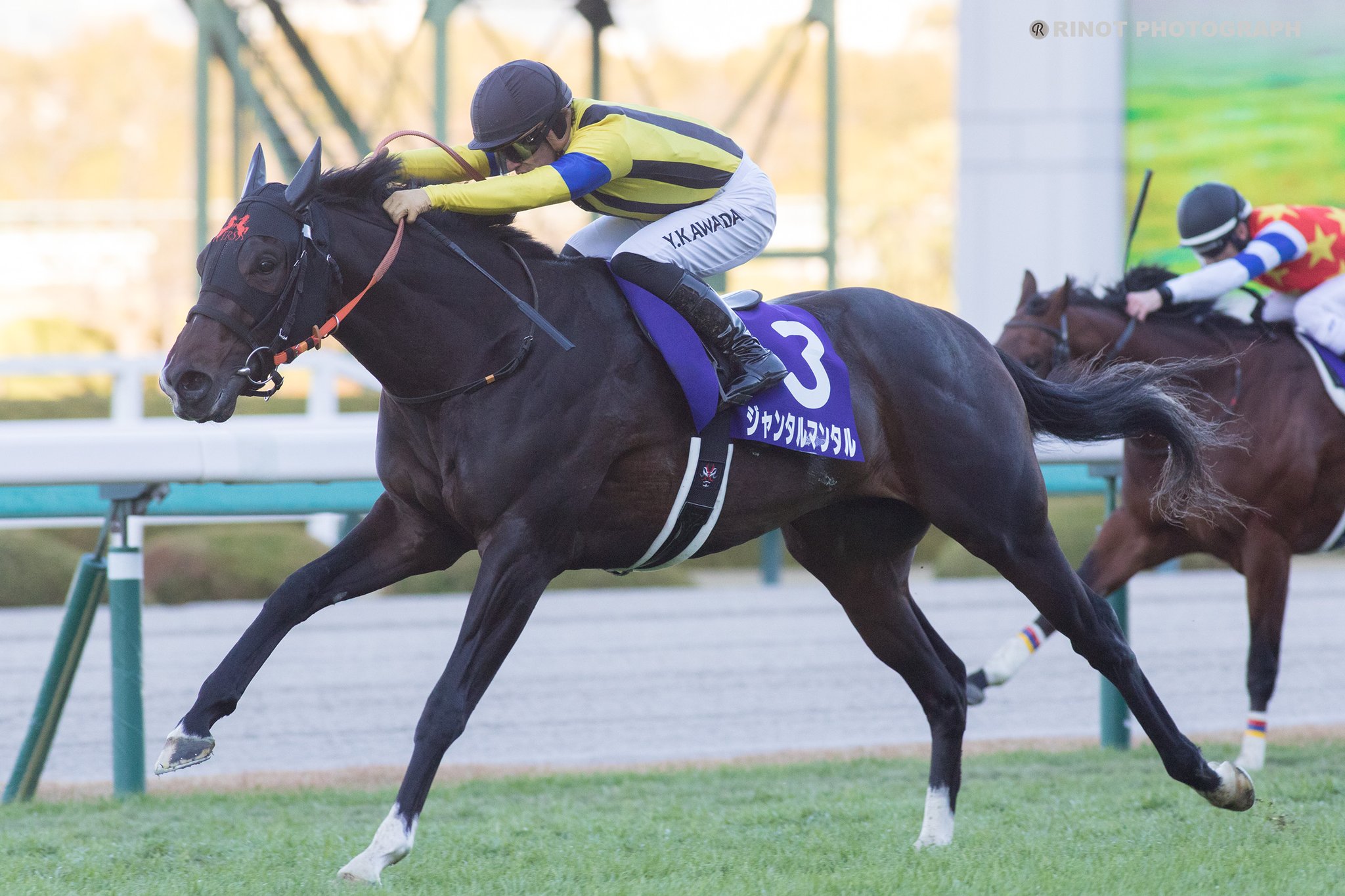 フサイチジャンク フサイチリシャール フサイチエアデール 口取写真