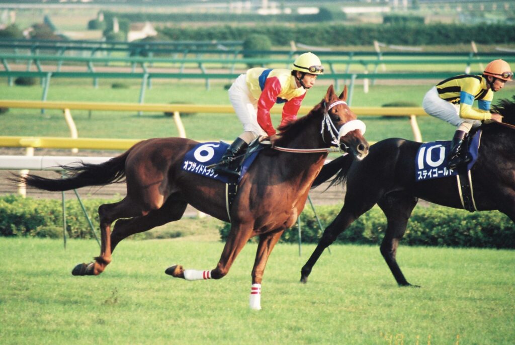 オフサイドトラップ 第118回 天皇賞秋 1着 6番人気