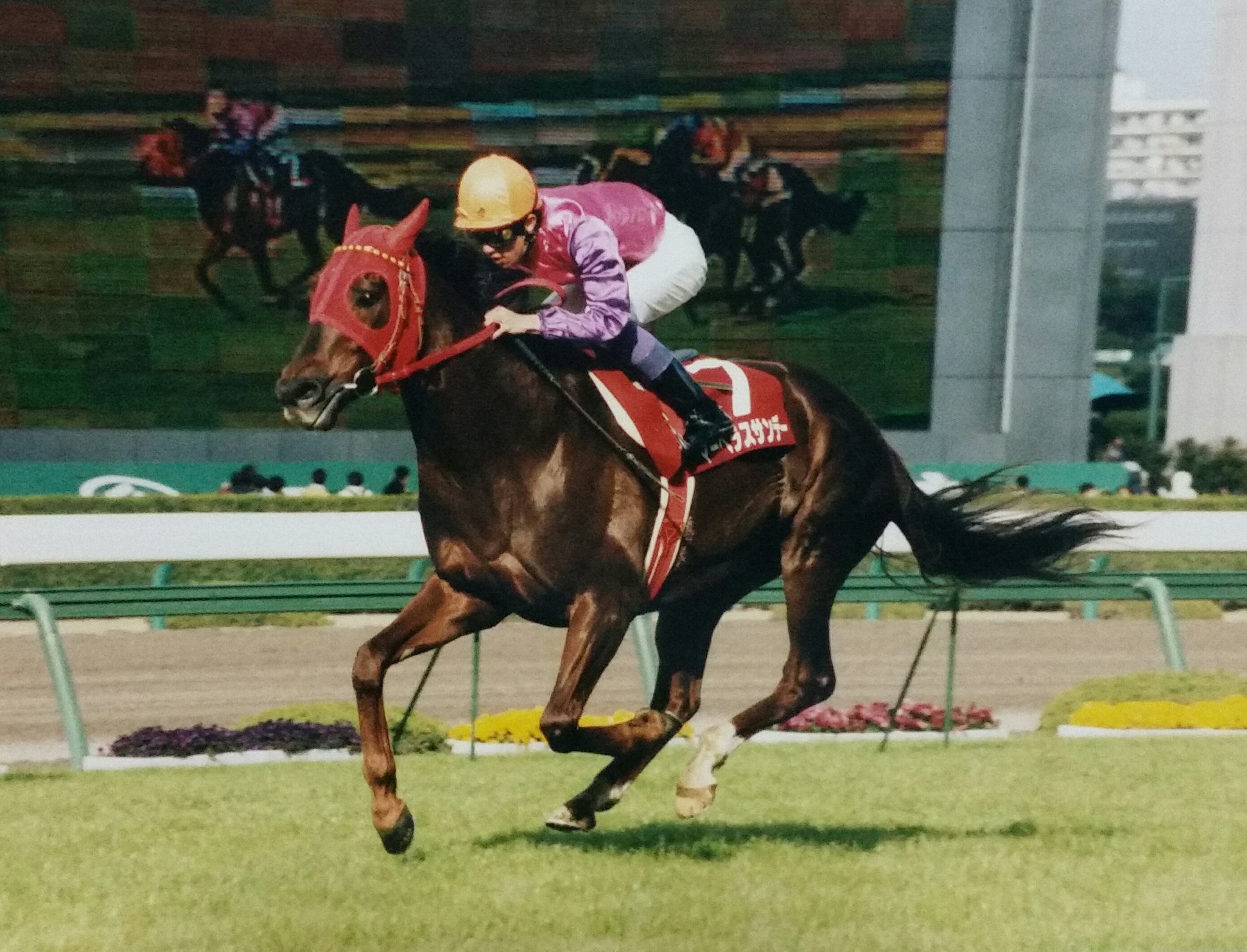 マーベラスサンデー - 父の苦難をなぞるかのように苦闘を続けた末に