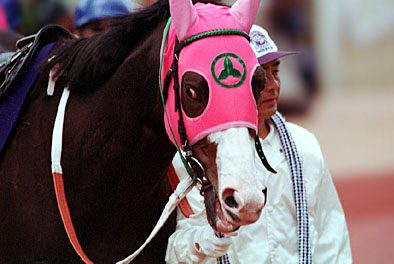 ダンツフレーム成績 現地単勝 宝塚記念2002年 ダンツフレーム100円