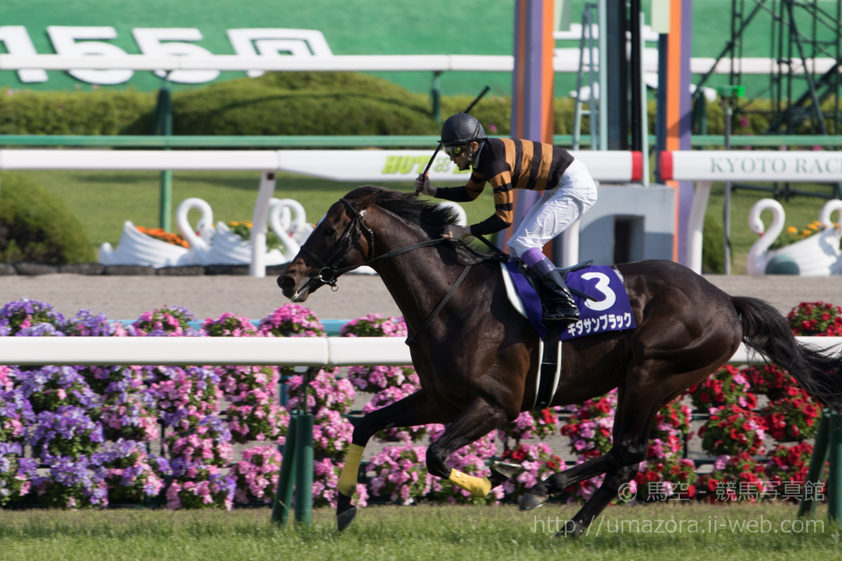 競馬写真】2017年 第155回天皇賞・春(GI) キタサンブラック