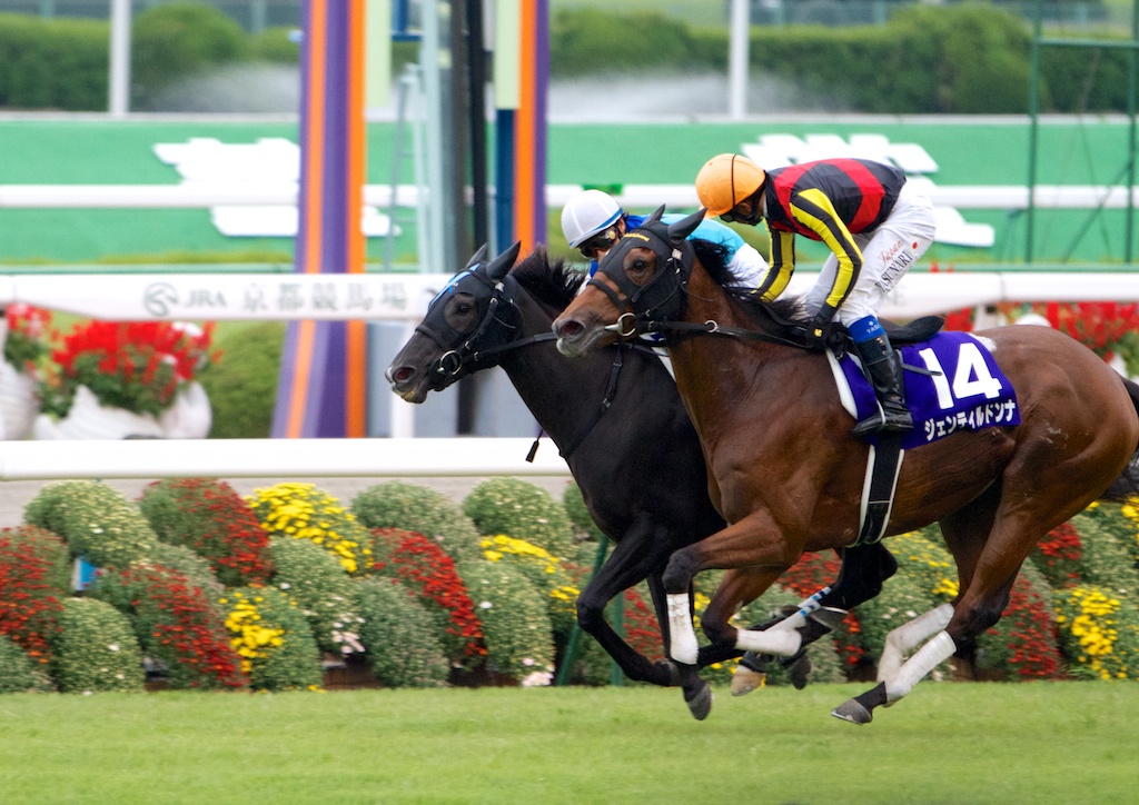 競馬写真】2012年 第17回秋華賞(GI) ジェンティルドンナ