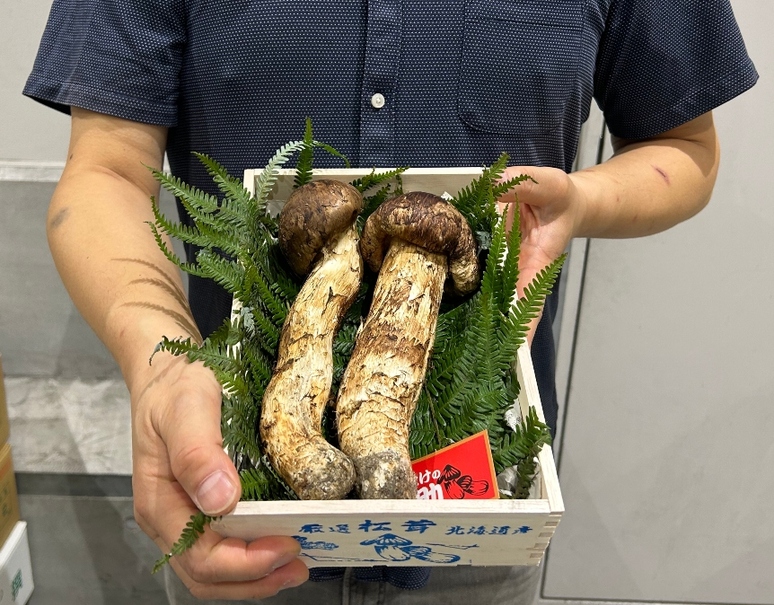 松茸 北海道 350g 送料込 松茸 北海道 350g 送料込 北海道 松茸 350g