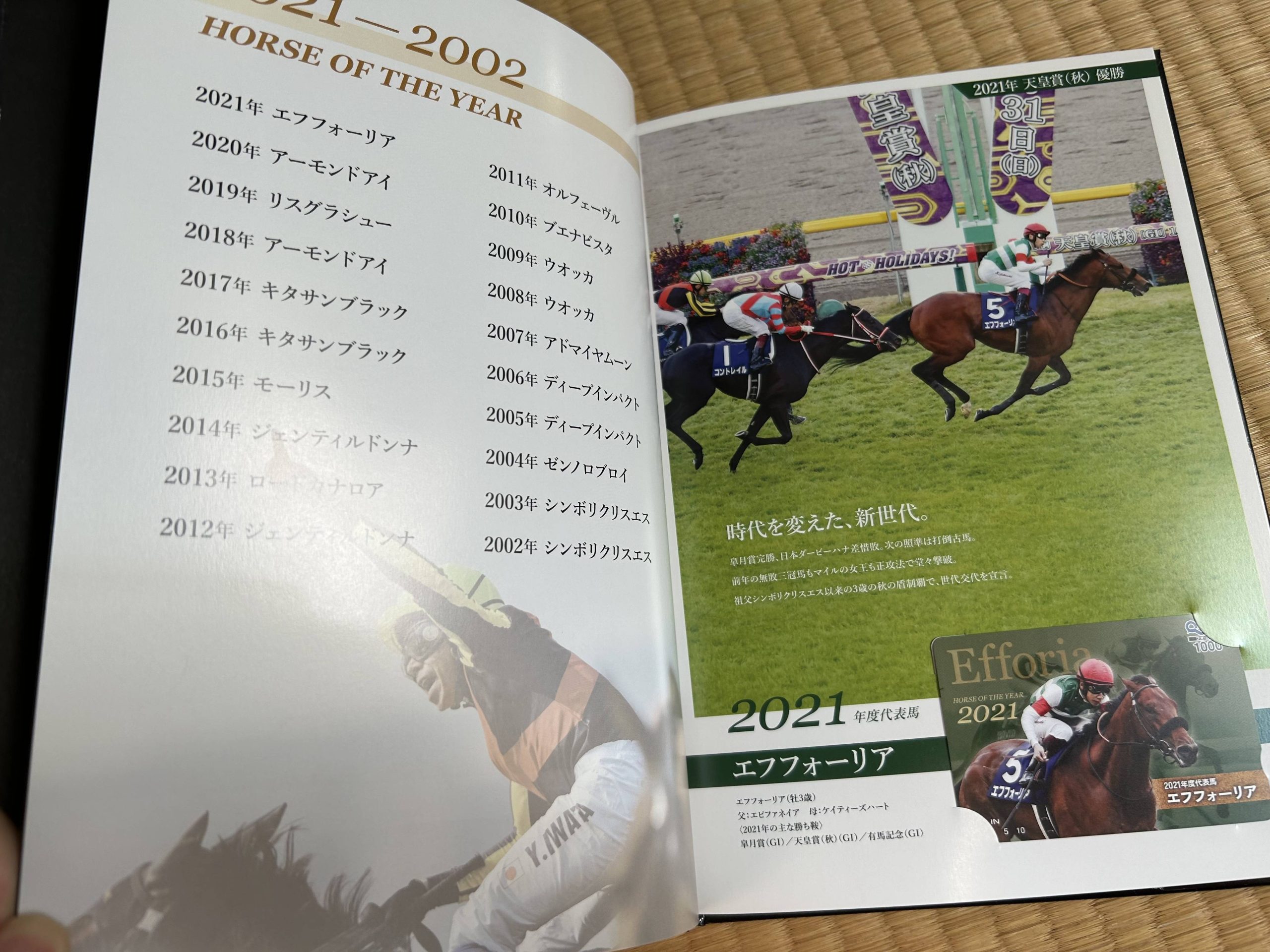 2002年天皇賞 ジャングルポケット 単勝馬券 ジャングルポケット 単勝