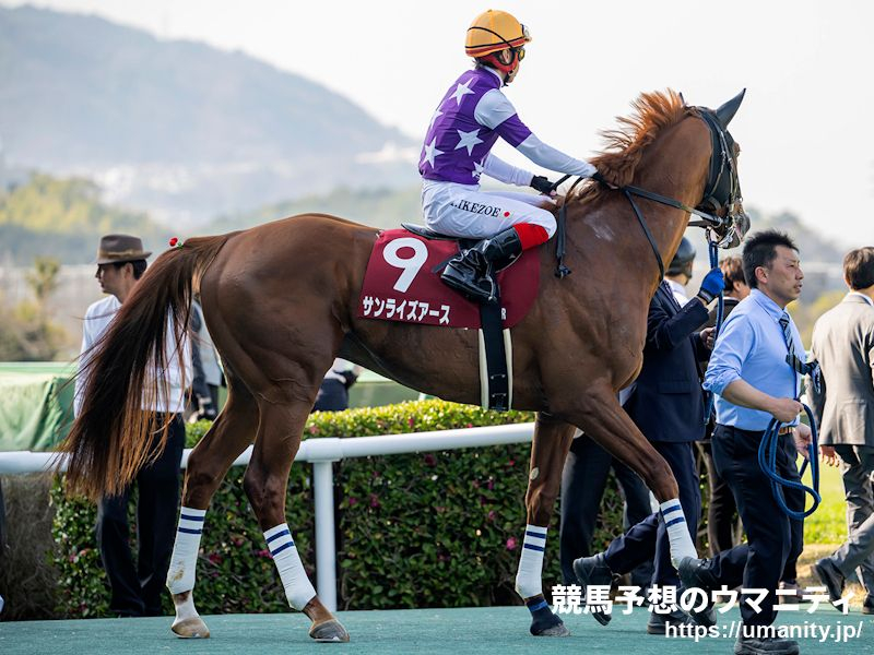 藤原サトノダイヤモンド 新馬戦〜天皇賞・春2歳から4歳国内全10戦