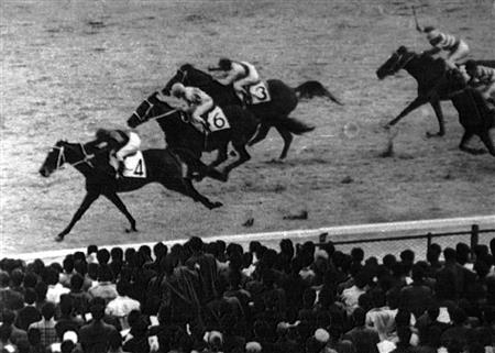 有馬あの感動を…】TV画面から消えたシンザン｜競馬ニュース｜競馬