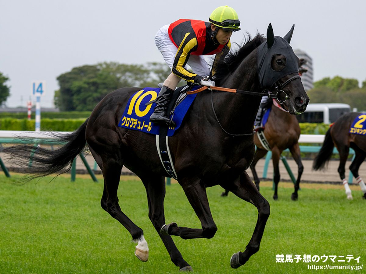 競馬 サイン入りパネル 第57回日本ダービー アイネスフウジン 中野英治