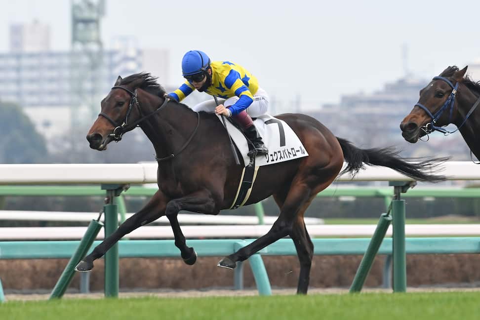 期限切れ単勝馬券】 2歳新馬 2001 ゴールドアリュール 期限切れ単勝