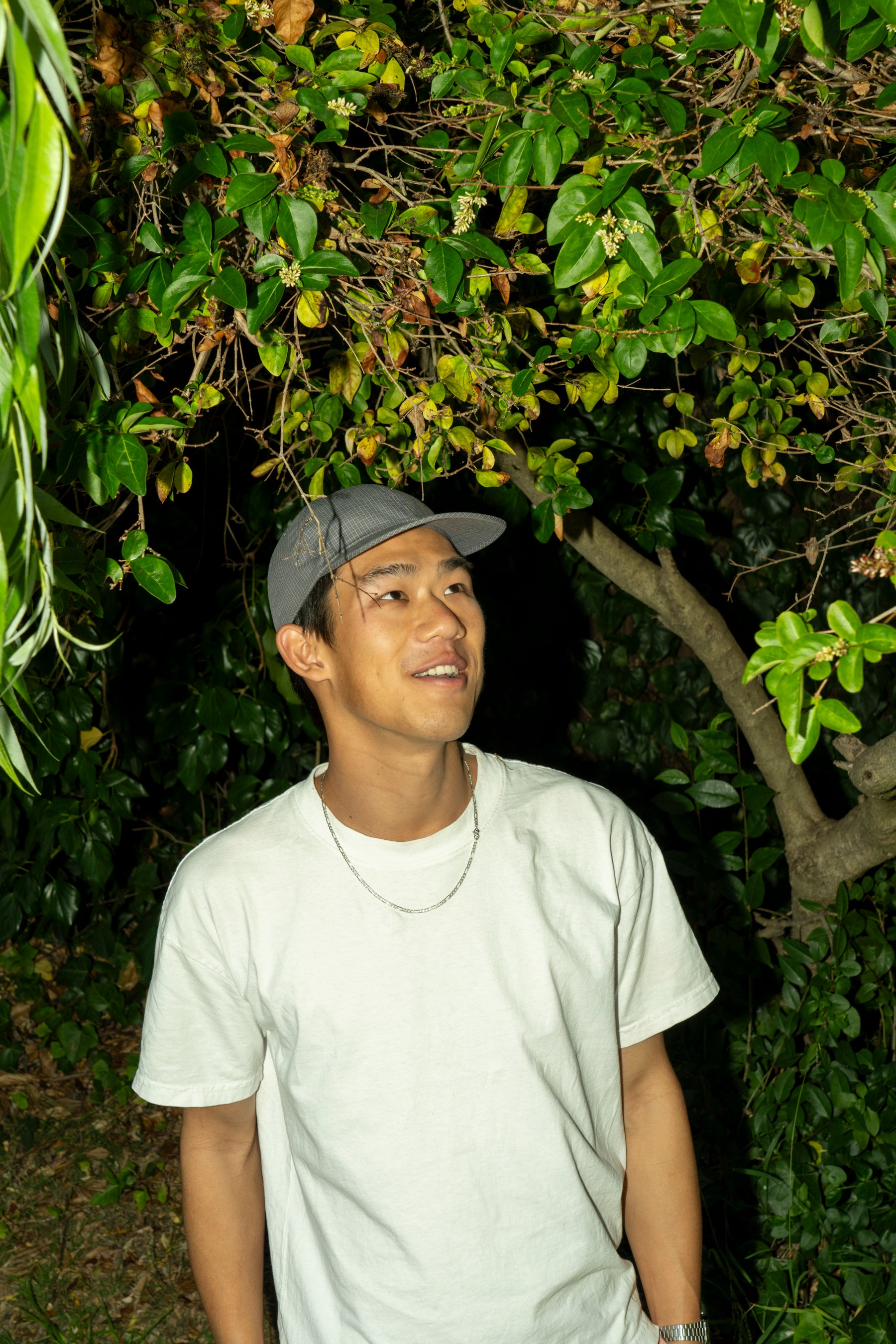 DEVELOPMENT BY NOROLL - OUTDATED CAP IN DARKEST GREEN – understory