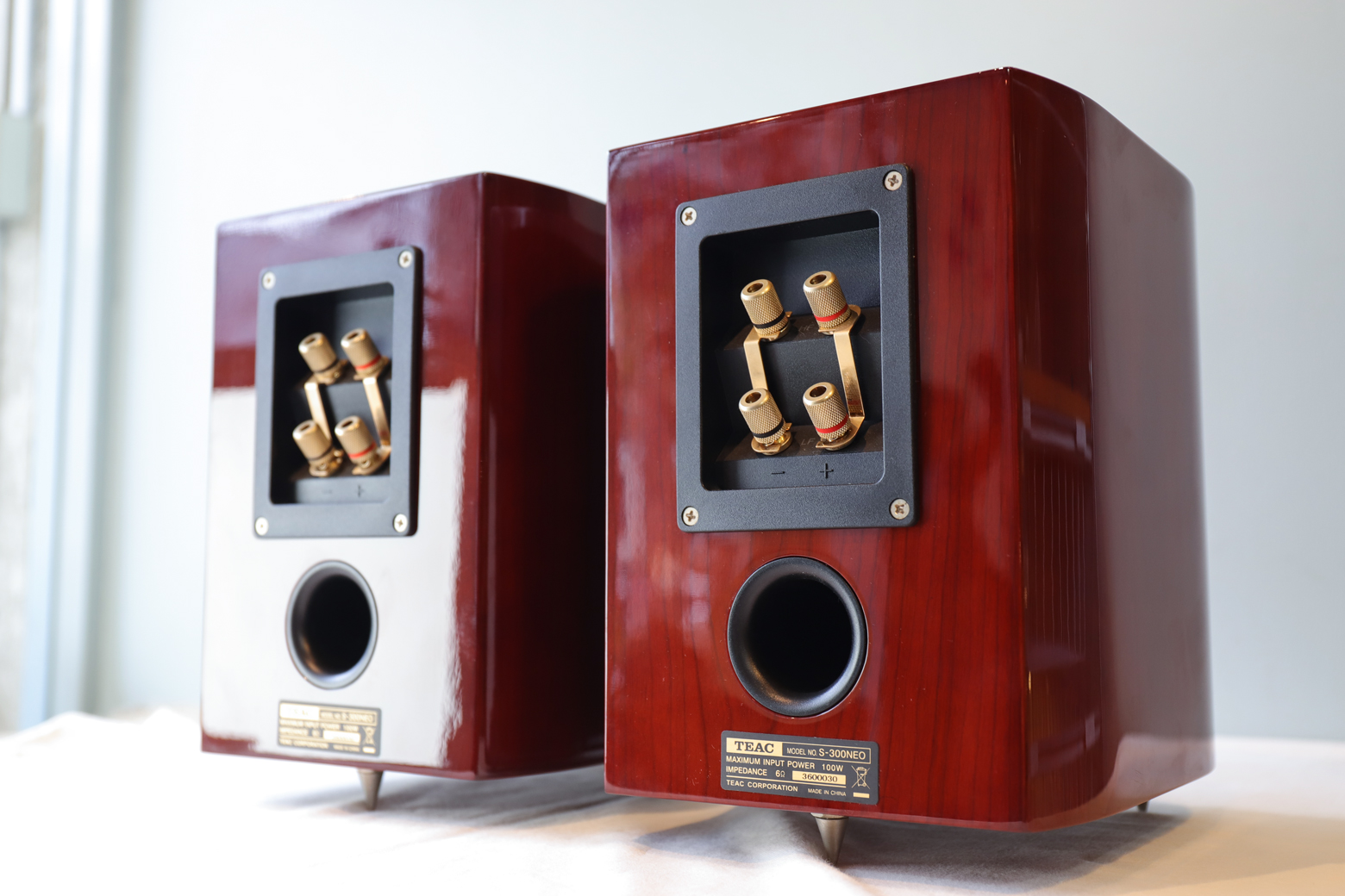 ティアック スピーカー コアキシャル コンパクト/TEAC S-300NEO 2-Way