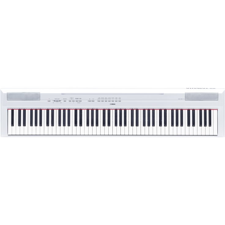 P-115 - Overview - Portables - Pianos - Musical Instruments