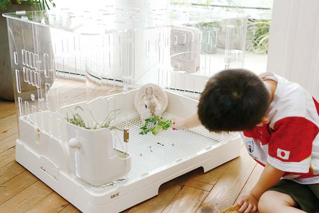 GEX ラビんぐ スマートルームクリア 1 【アクリル製ラビットケージ