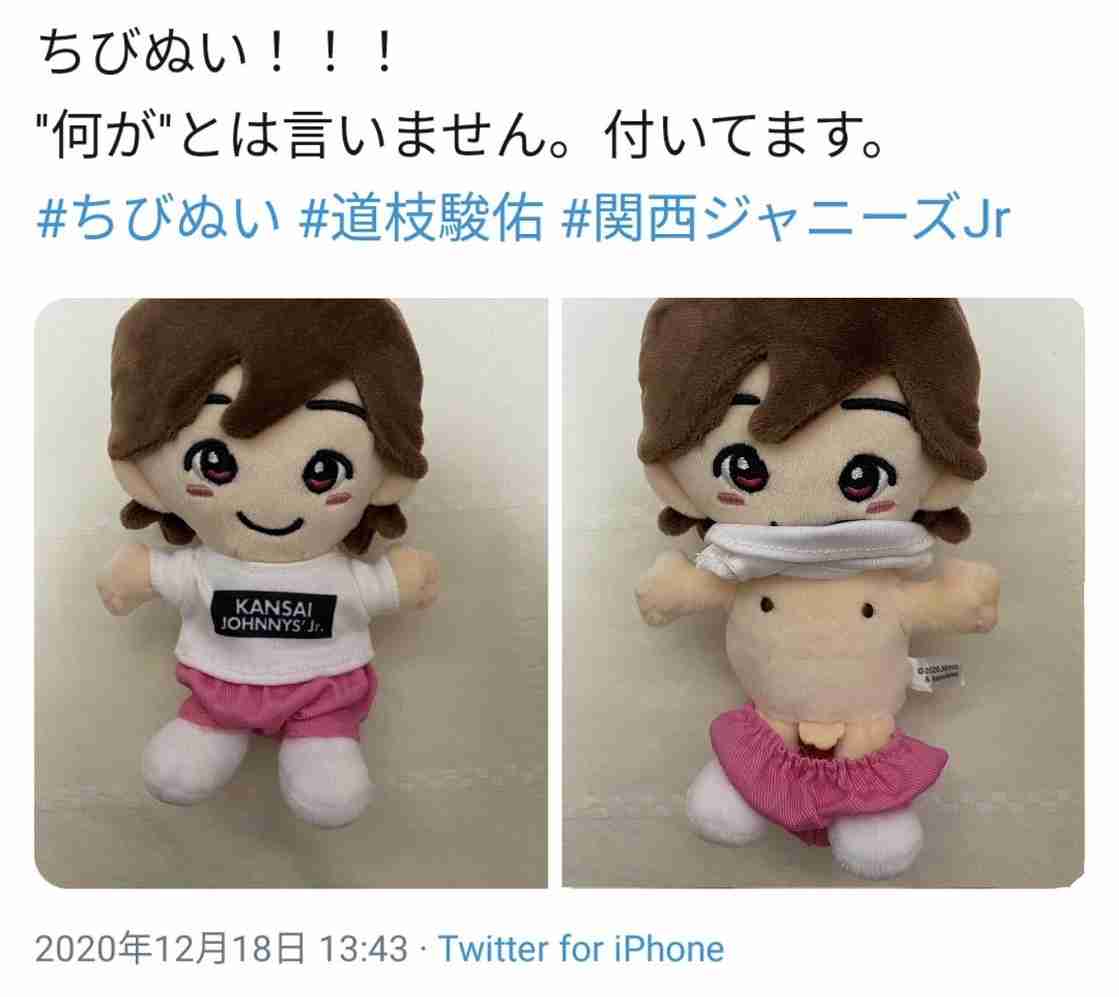 なにわ男子 道枝 駿佑 ちびぬい ジャニーズ ぬいぐるみ ジャニーズJr