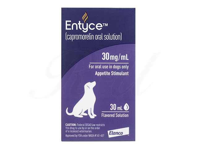 エンタイス30mL通販｜嘔吐・下痢止め薬｜犬｜ペットのお薬うさパラ