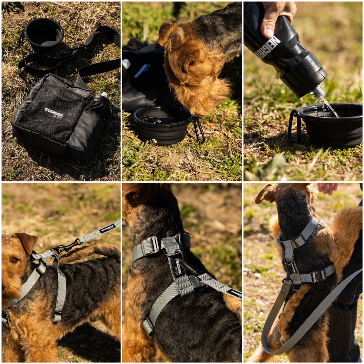 NEIGHBORHOOD®︎ 24SS “Dogs” Seriesが国内6月15日に発売。L.L.Beanと