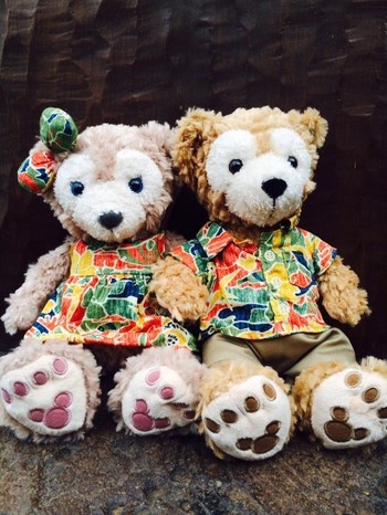 ダッフィ&シェリーメイ⭐️ハワイ❤️ウラニディズニー限定 ハワイ限定