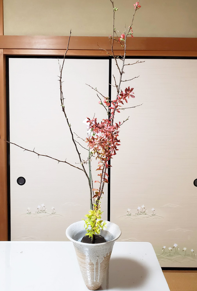 池坊について | うらら花