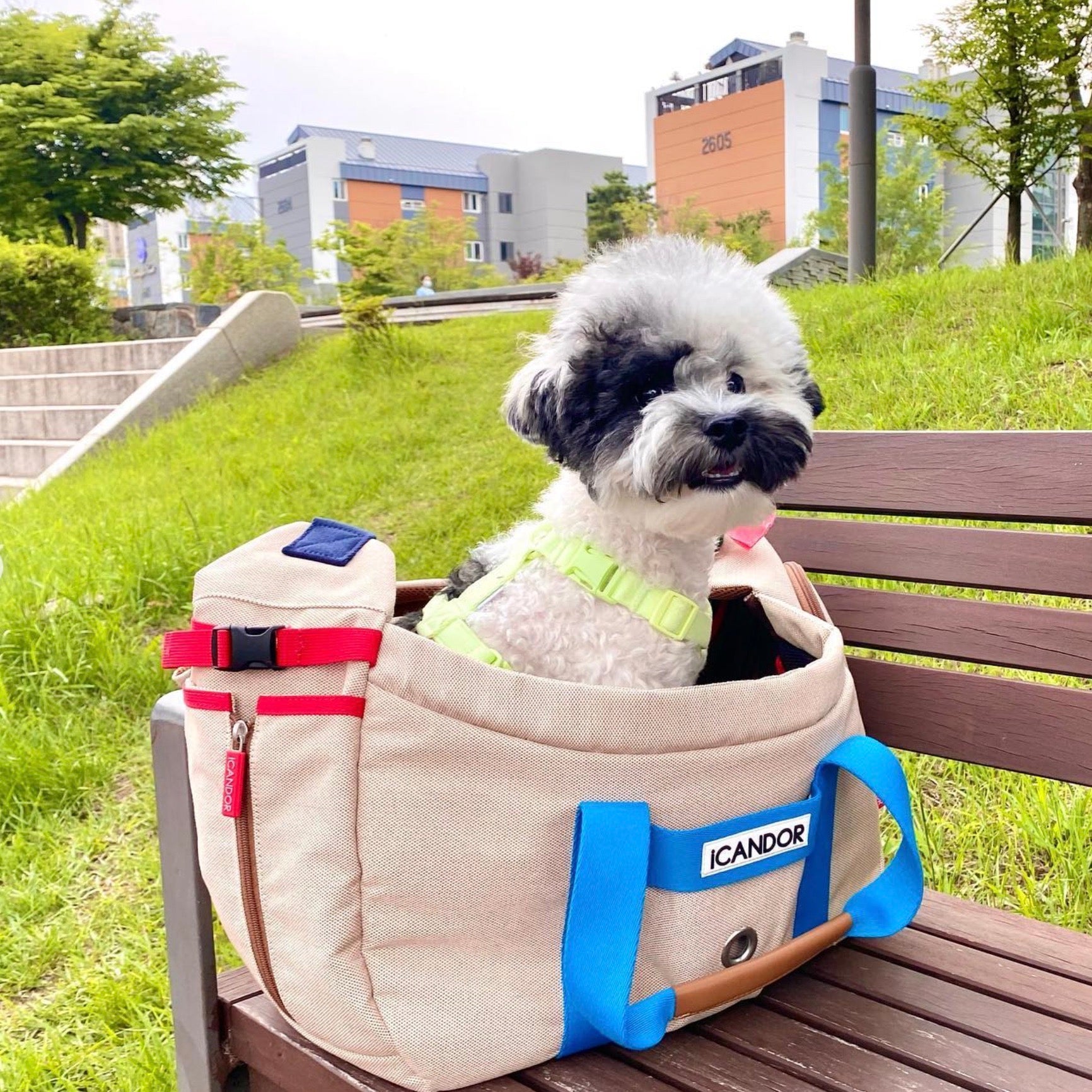 海外犬服 高品質なインポートのドッグウェア通販 