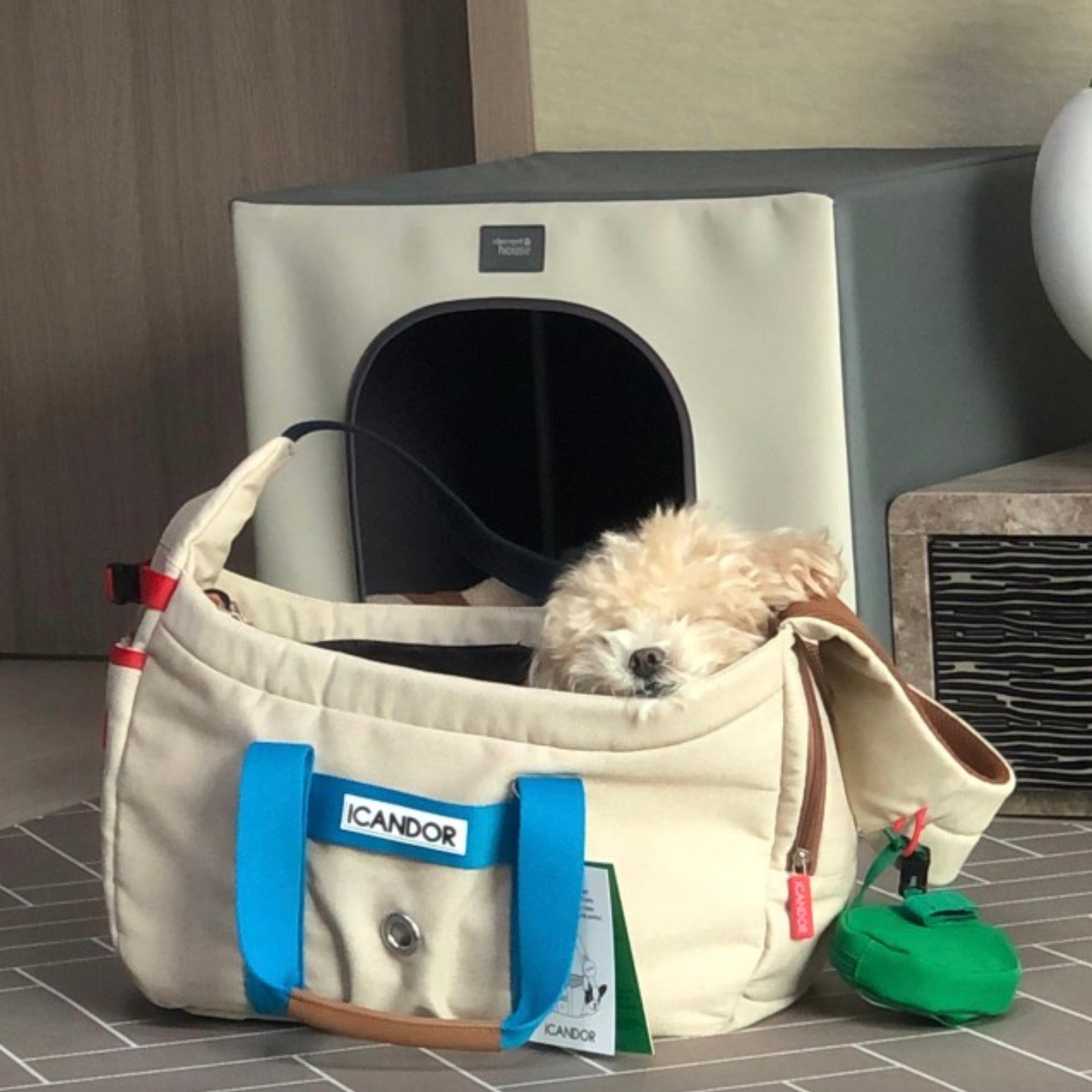 海外犬服 高品質なインポートのドッグウェア通販 