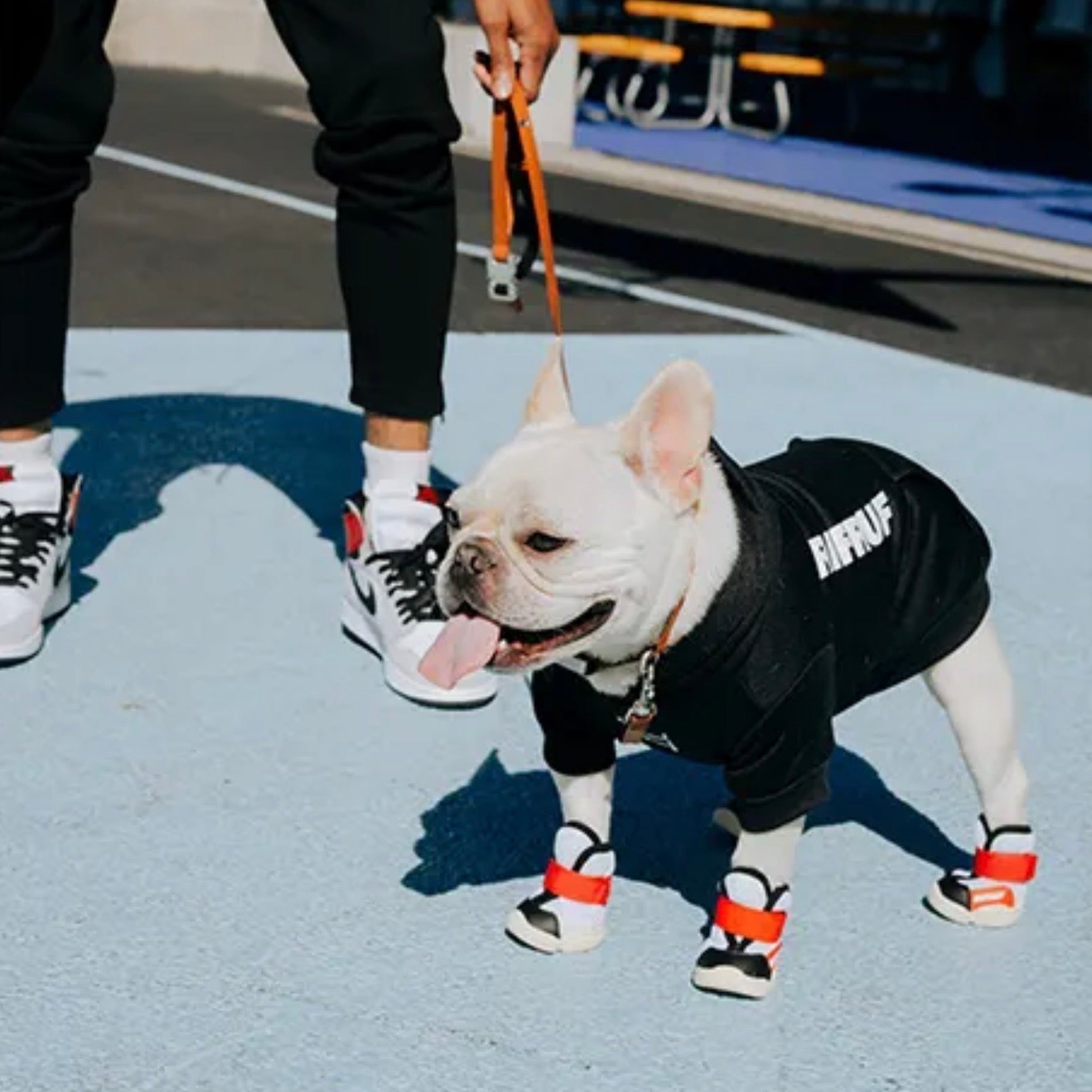 海外犬服 高品質なインポートのドッグウェア通販 